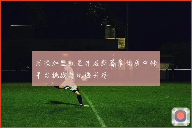 万项加盟红星开启新篇章优质中转平台挑战与机遇并存