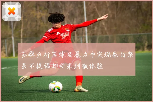 苏群分析篮球场暴力冲突现象打架虽不提倡却带来刺激体验
