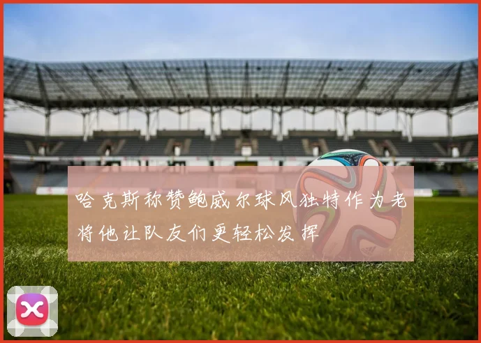哈克斯称赞鲍威尔球风独特作为老将他让队友们更轻松发挥
